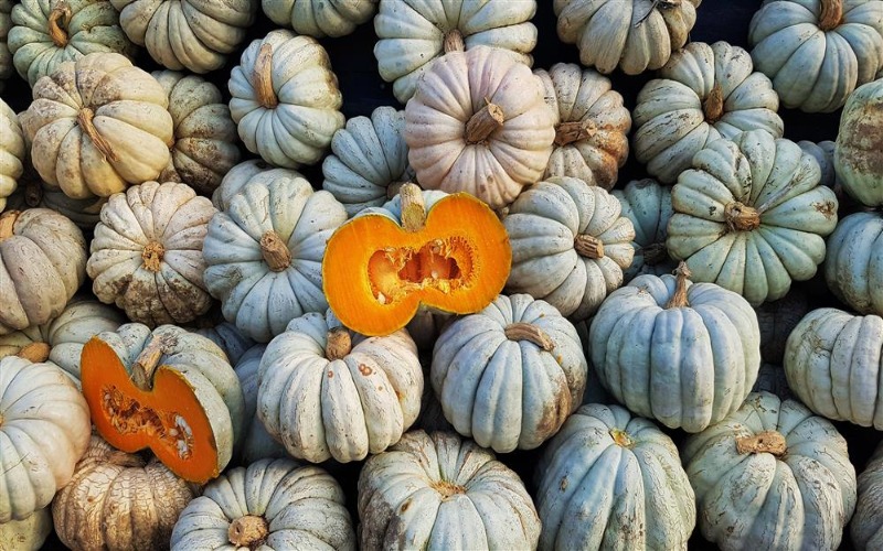 Düzce'den ne alınır Kestane Kabağı