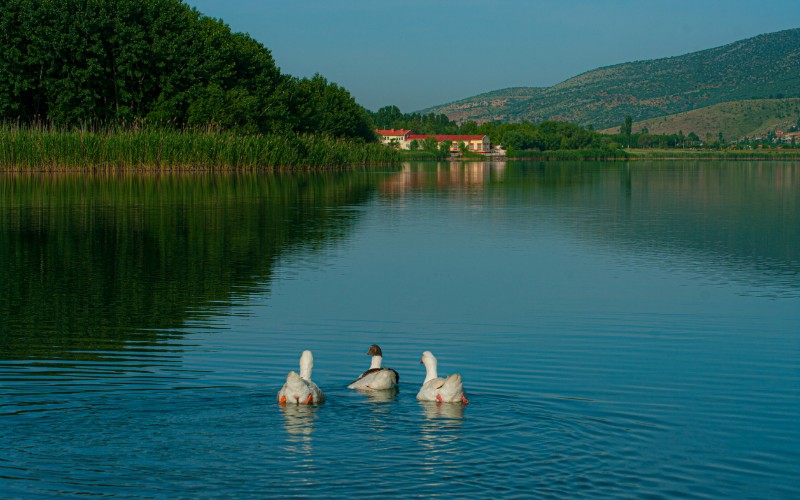 Gölbaşı Gölleri Tabiat Parkı