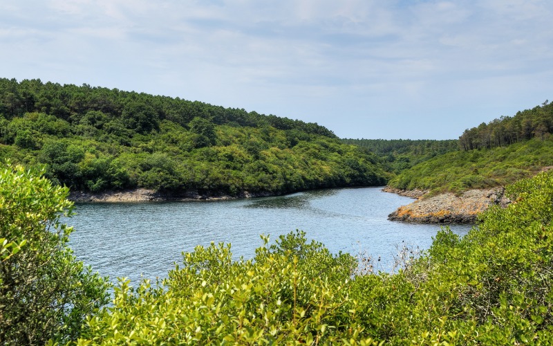 Hamsilos Koyu Tarihi