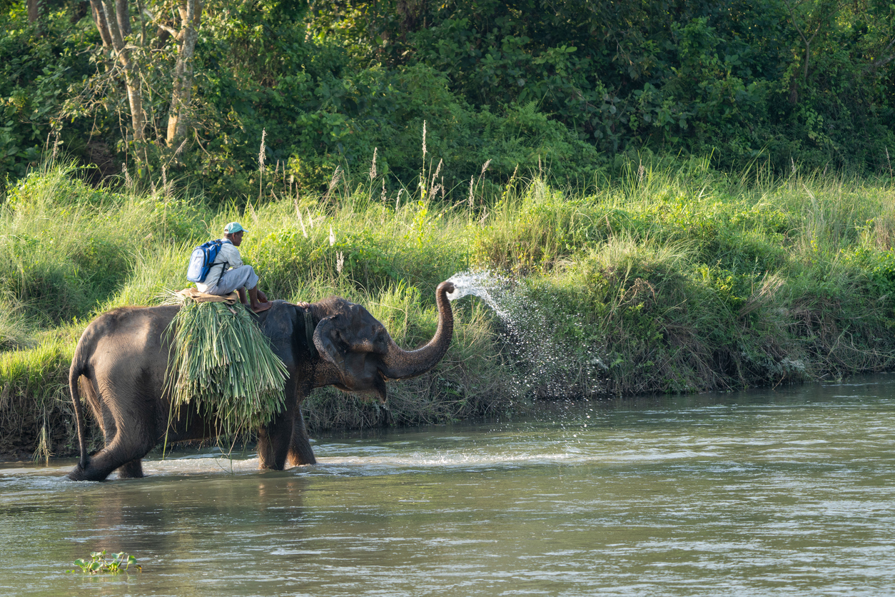 Chitwan National Park