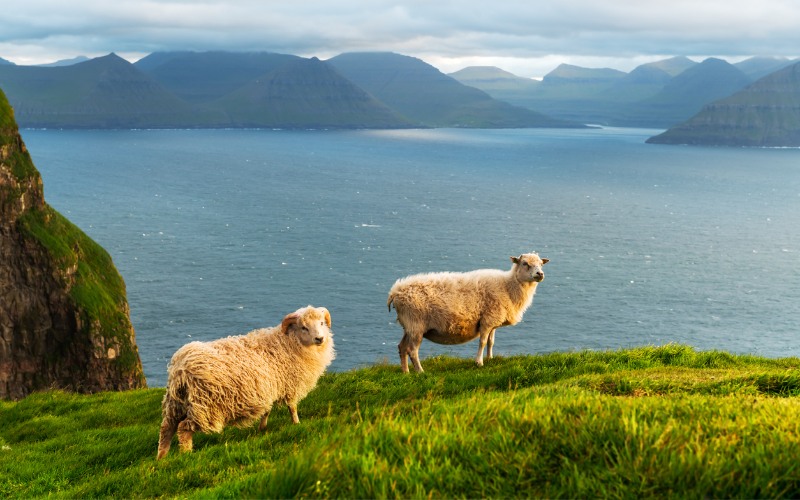 Faroe Adaları gezi rehberi Konaklama 