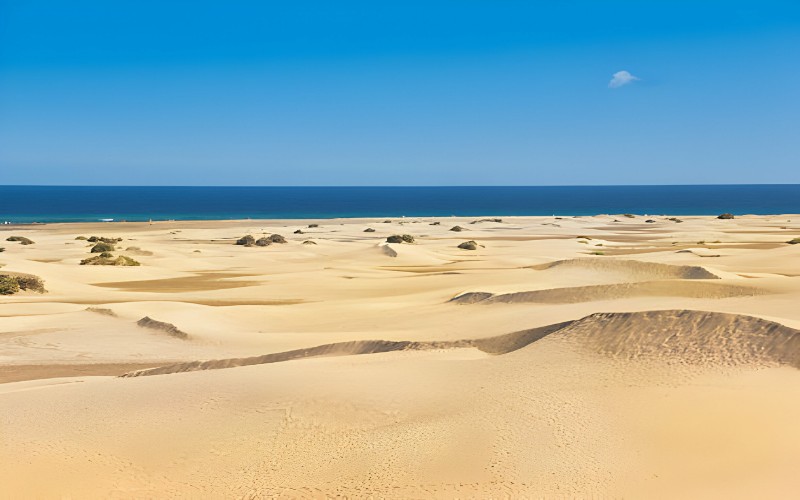 Playa de Maspalomas