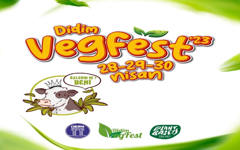 Vegfest didim