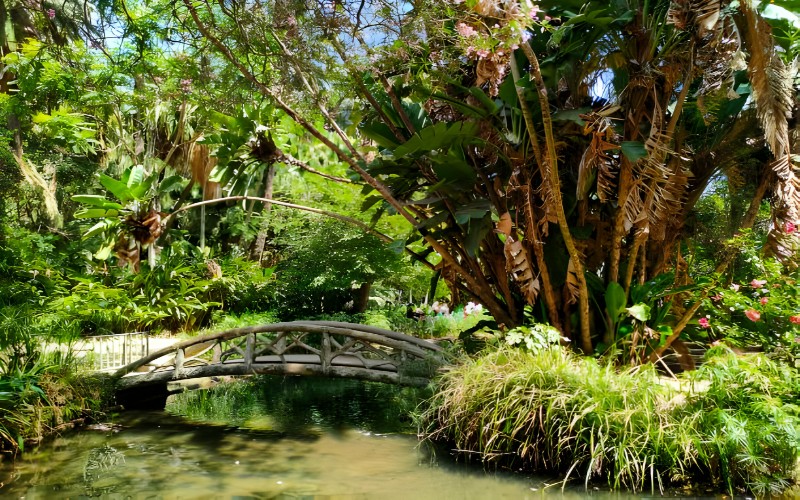 Le Jardin d’Essai du Hamma