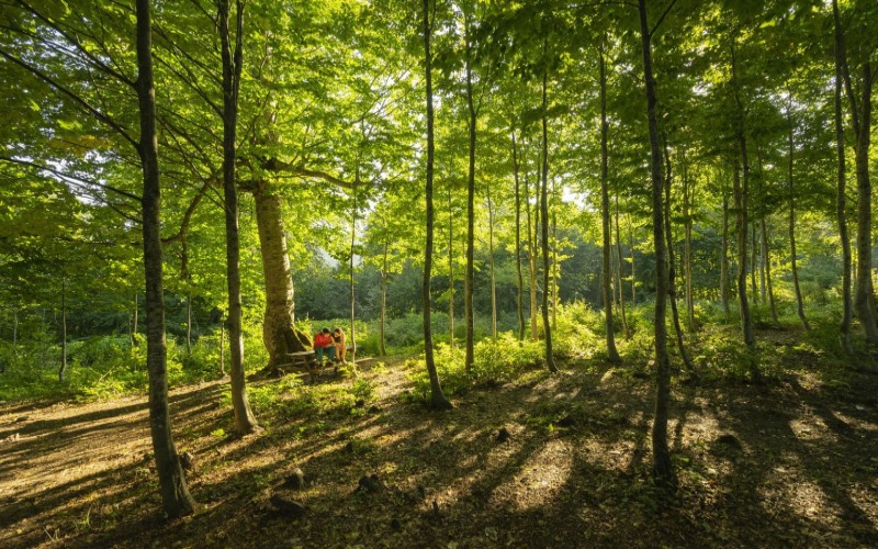 Kuzuyayla Tabiat Parkı