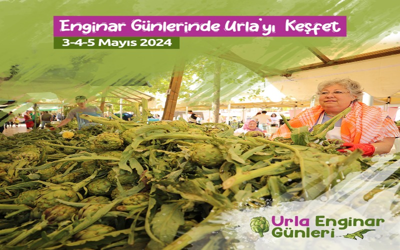 Mayıs ayı festivalleri Urla Enginar festivali