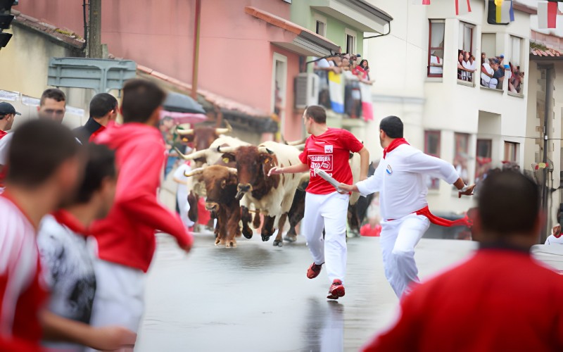 San Fermin (Running of the Bulls), İspanya