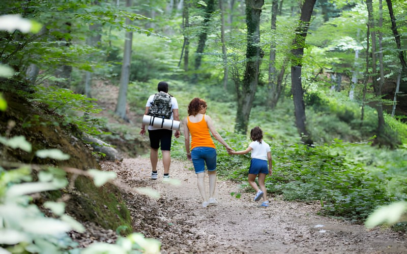 İstanbul'da Piknik Yapılacak Yerler belgrad ormanı