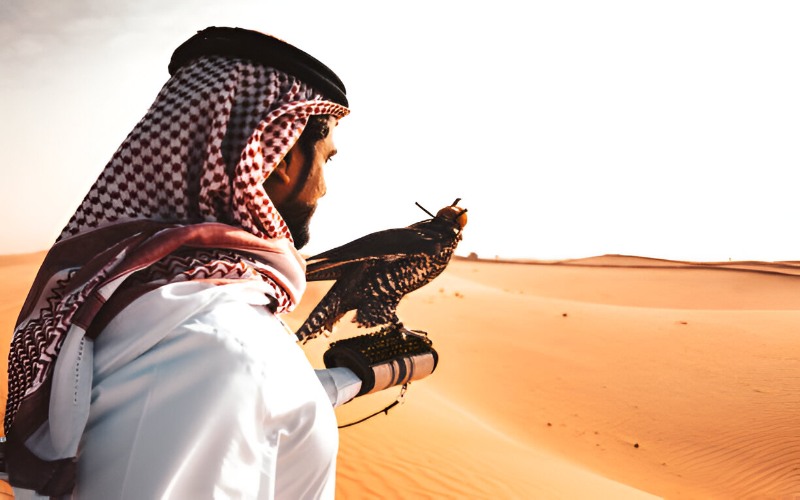 King Abdulaziz Falconry Festival