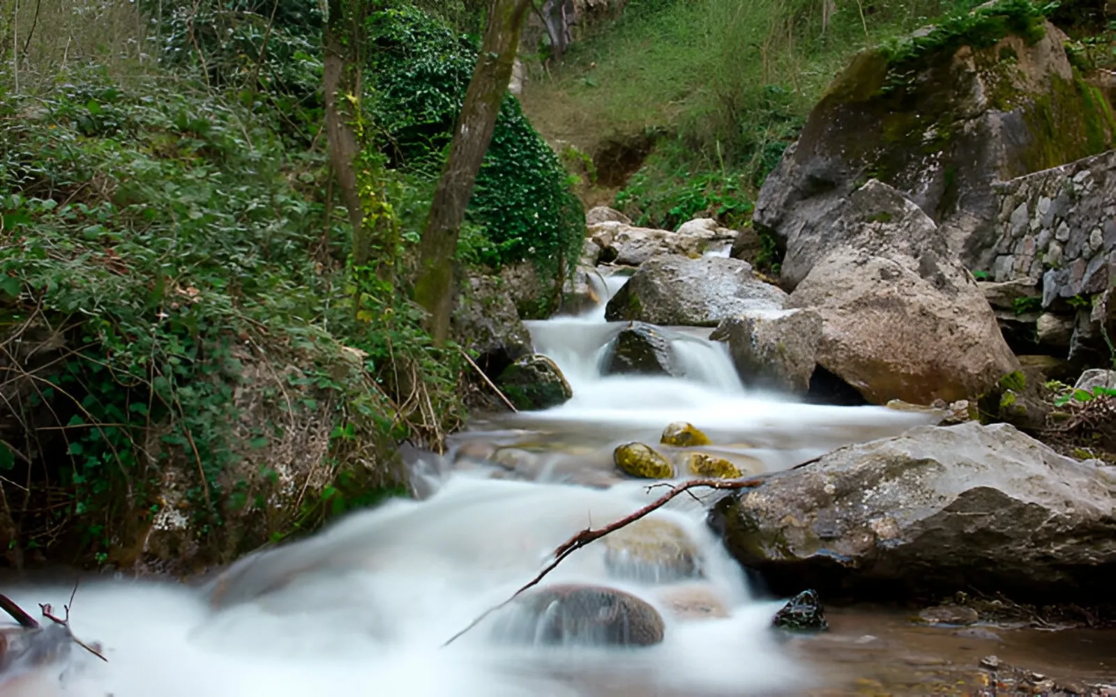 Sakarya - Maşukiye