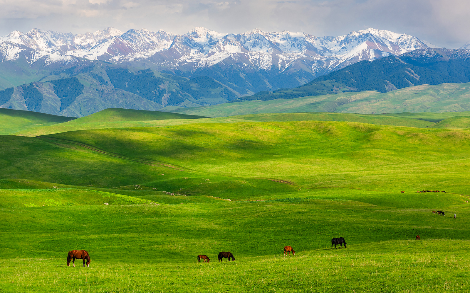 kazakistan