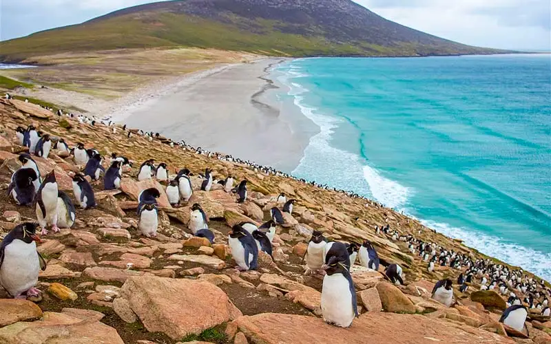 dunyanin en az nufusa sahip ulkeleri turna com dunyanin en az nufusa sahip ulkeleri turna com