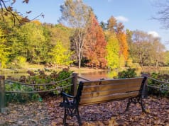 Agva Ya Nasil Gidilir Turna Com