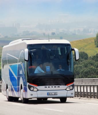 Seyahat Rehberi Turna Com