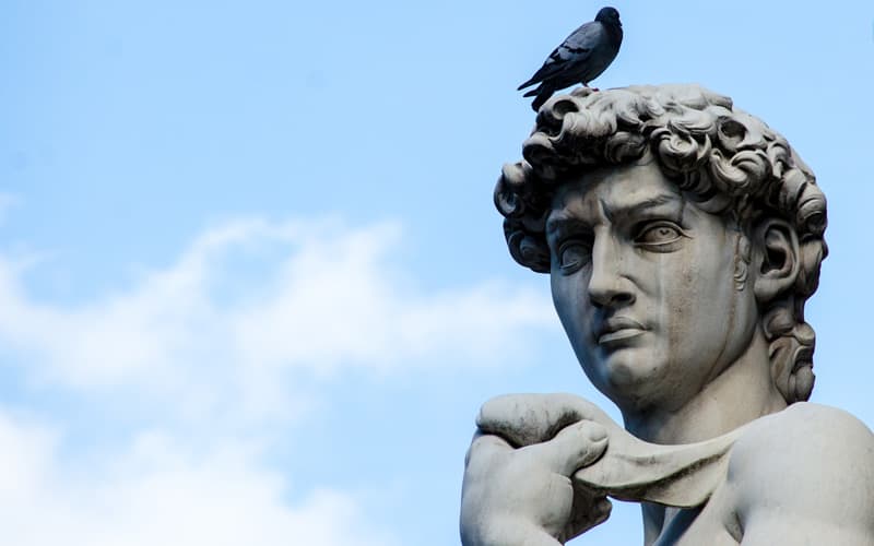 Ülkelerin Tuhaf Kuralları Güvercin besleme