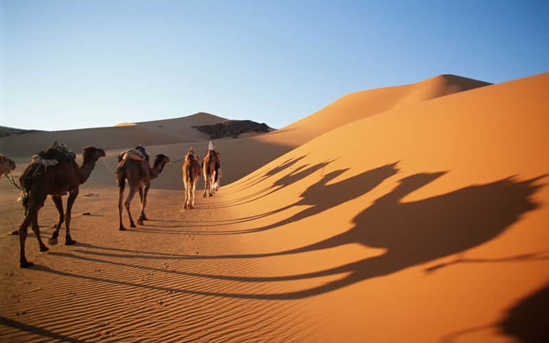 Batı Sahra Gezilecek Yerler: Batı Sahra’da Görülmesi Gereken 6 Yer