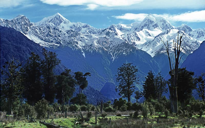 westland milli parkı