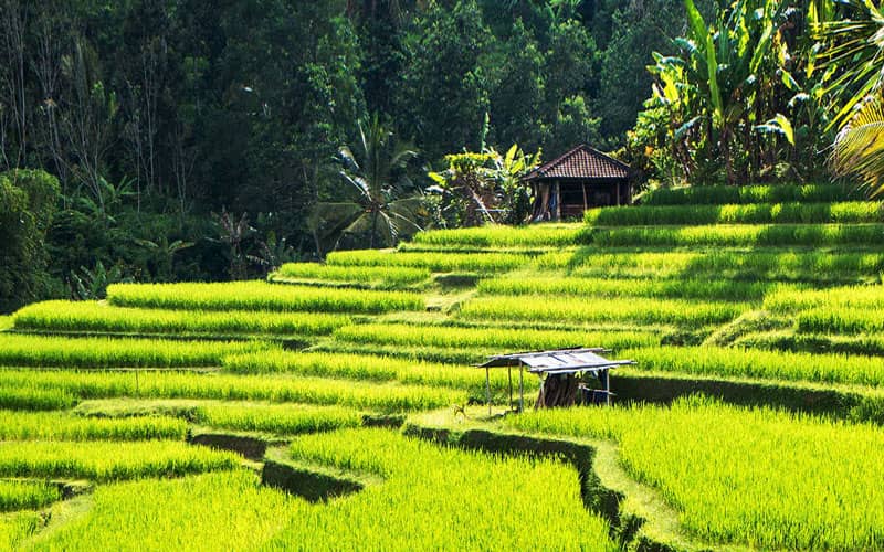 Dünyadaki En Samimi Asya Şehirleri