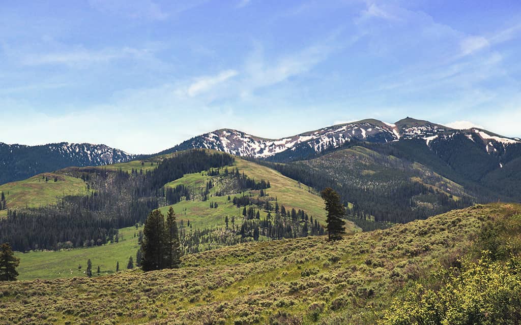 yellowstone parkı bilgiler
