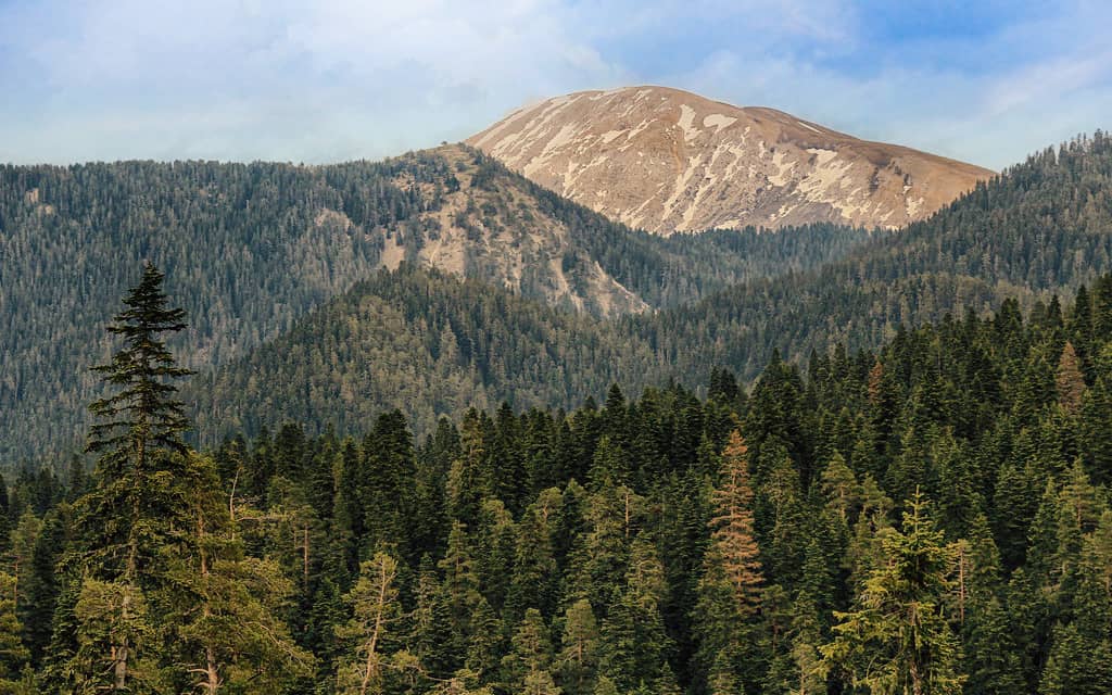 Ilgaz Dağı Milli Parkı