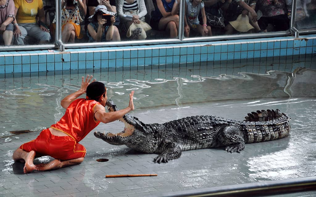 Million Years Stone Park