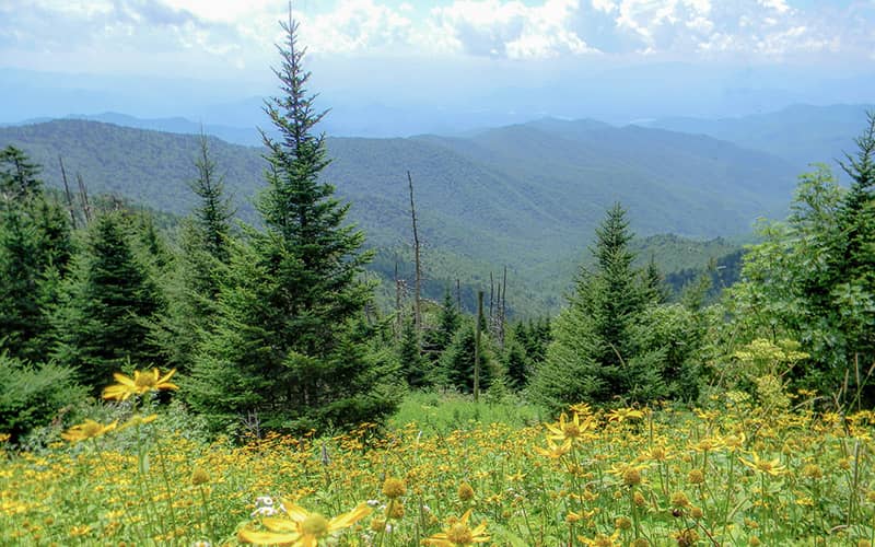 Tennessee gezilecek yerler