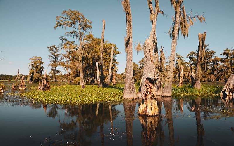 Lake Martin, Breaux Bridge