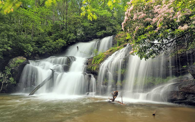 Chattahoochee National Forest