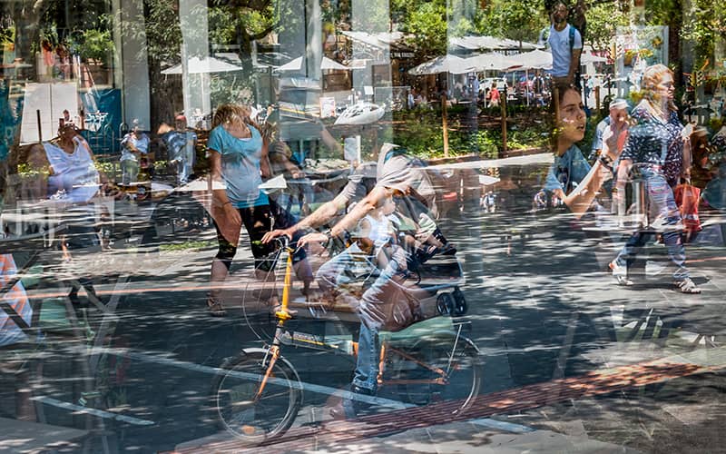 pasajero clandestino en la Plaza de España