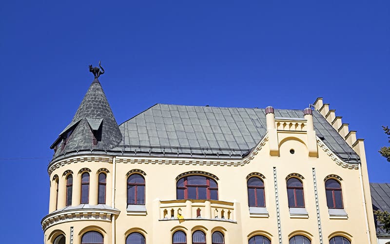 riga cat house