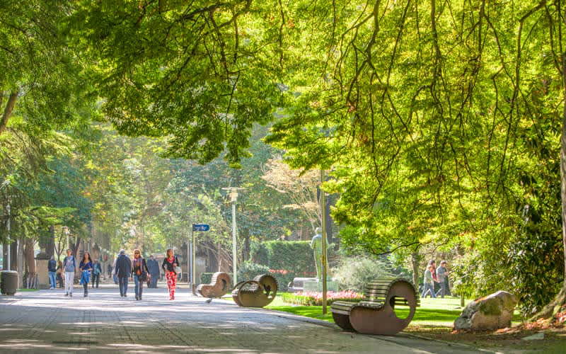 vitoria-gasteiz-portekiz