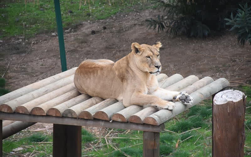 Gaziantep-Hayvanat-Bahcesi