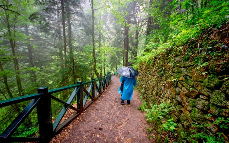 Altindere-Vadisi-Trabzon