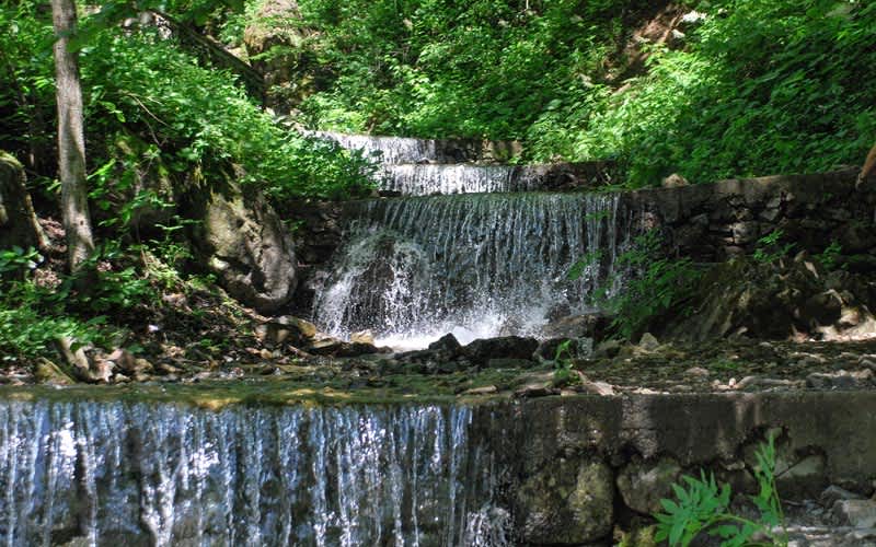 Altindere-Vadisi-Milli-Parki