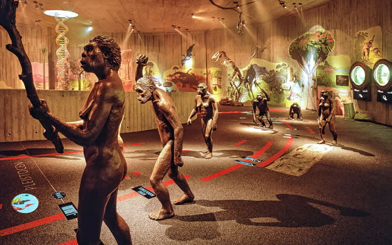 Neandertal-Muzesi-Dusseldorf