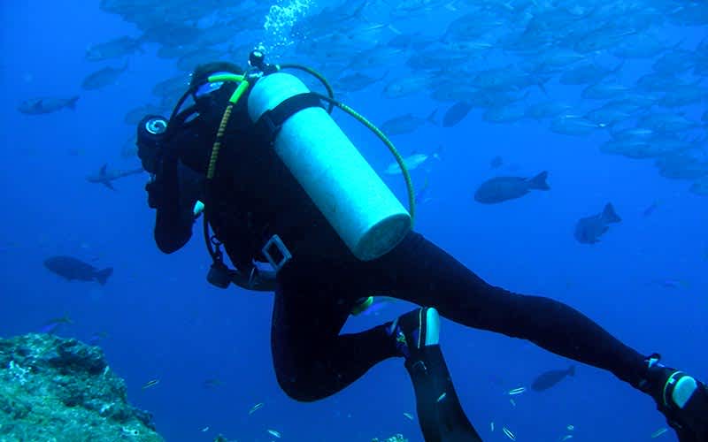 Blue-Corner-Wall-Palau