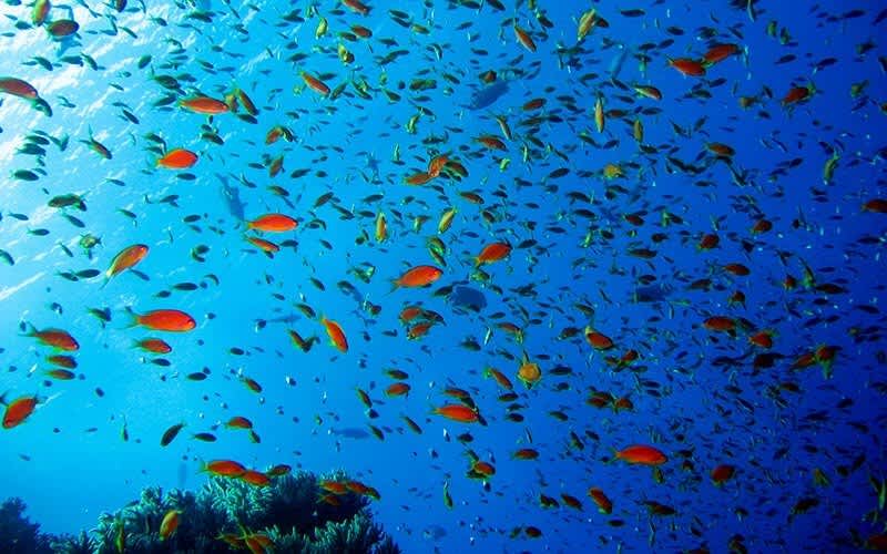 Big-Brother-Kizildeniz