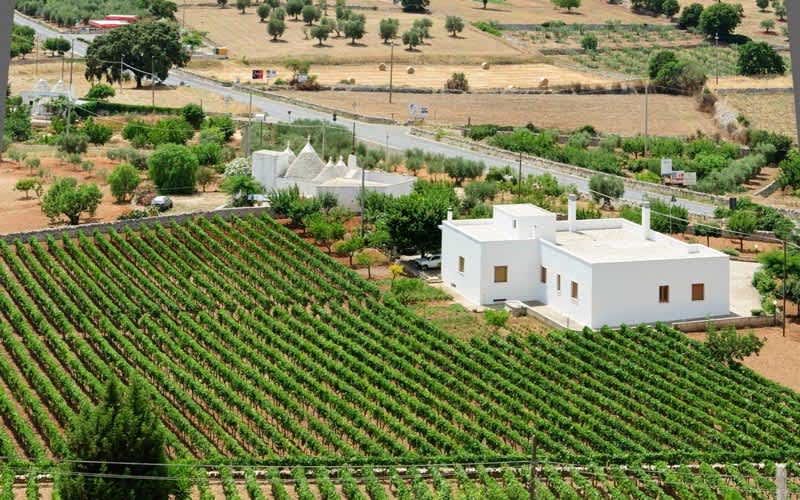 Itria-Vadisi-Sarab-Baglari