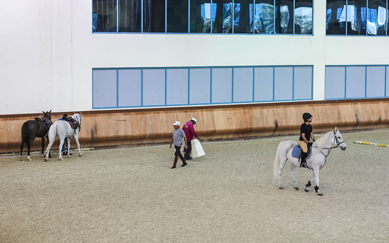 Equestrian-Club-Qatar