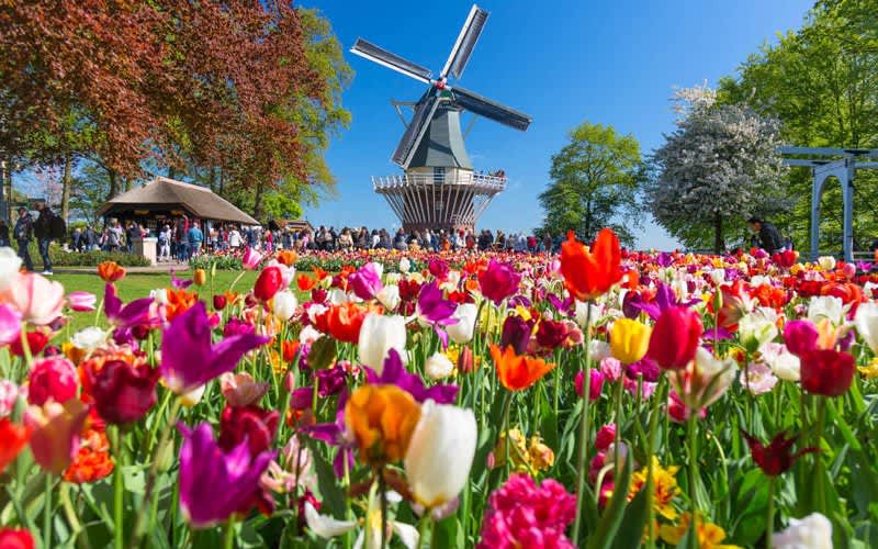 Keukenhof