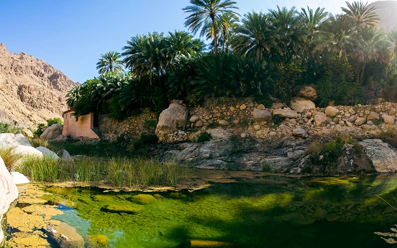Wadi Tiwi