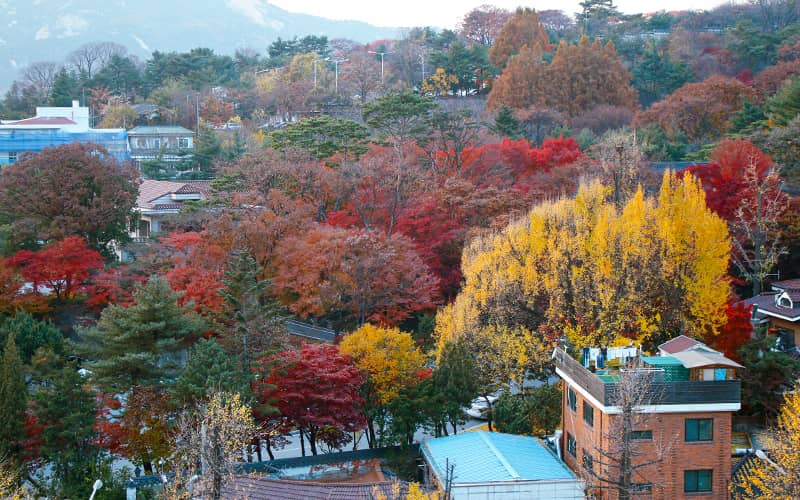 Bukchon Hanok Village