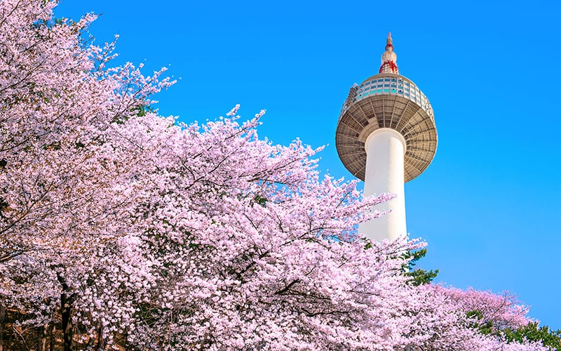 N Seoul Tower