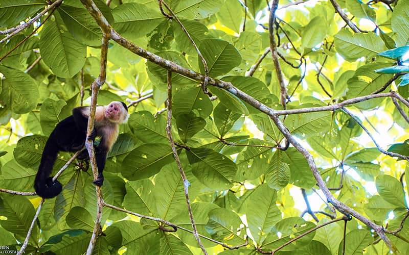 kosta-rika