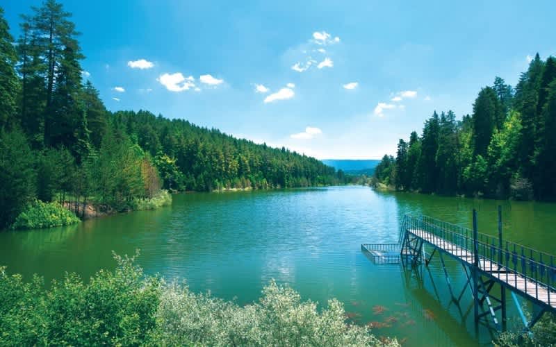 Bozcaarmut Göleti Bilecik gezilecek yerler