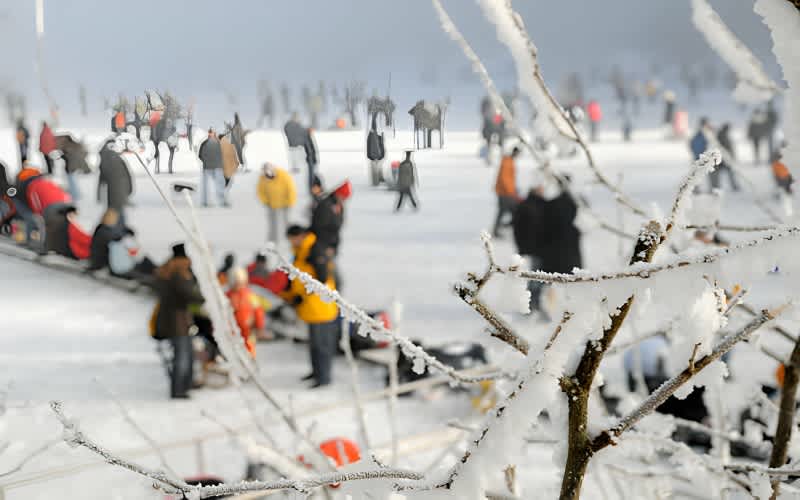 Dünyada Şubat Ayı Festivalleri
