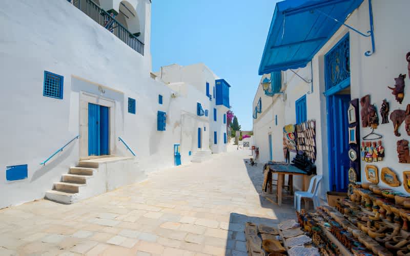 Tunus Gezilecek Yerler