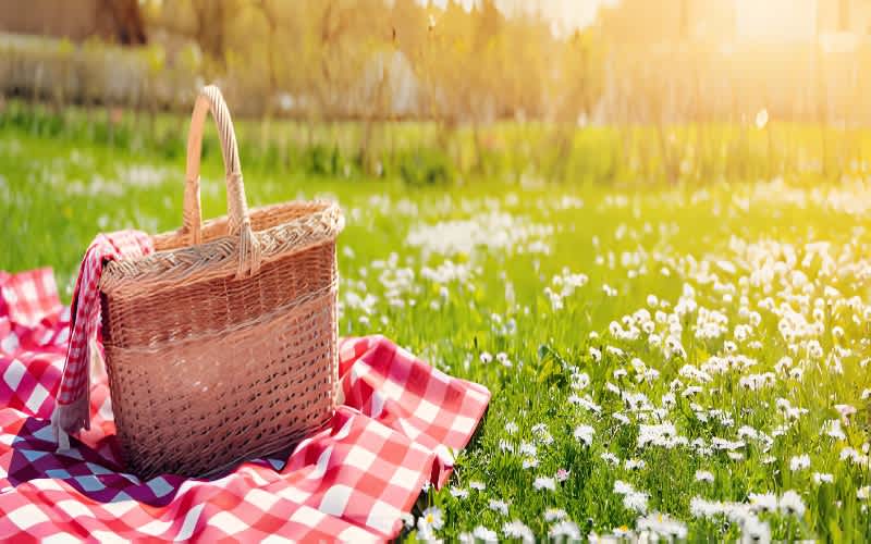 İstanbul’un En Güzel Piknik Alanları: 12 Harika Yer