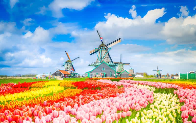 Amsterdam Çevresinde Gezilecek Yerler ve Kasabalar