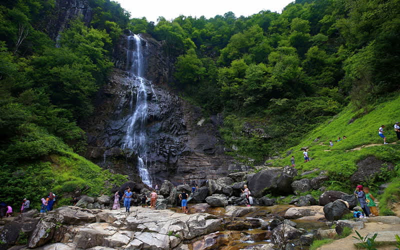 Menuna elalesi -  Artvin